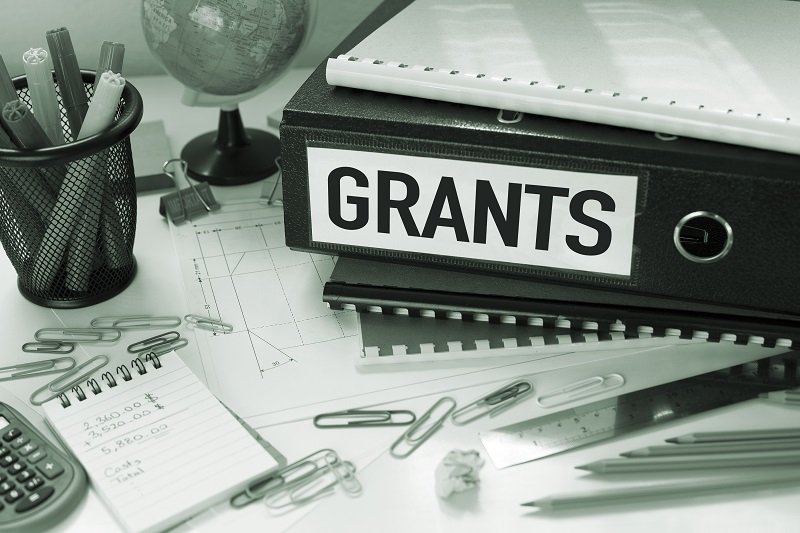 The image shows a folder labeled "GRANTS" on a table illustrating EDG and PSG grants.